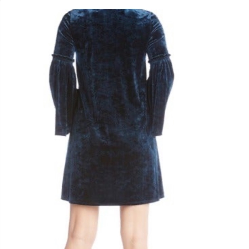 Velvet Dress - Picture 4 of 6